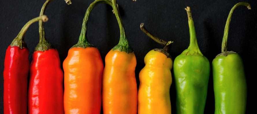 Vitamina C: Sekreti i imunitetit dhe shëndetit të mirë