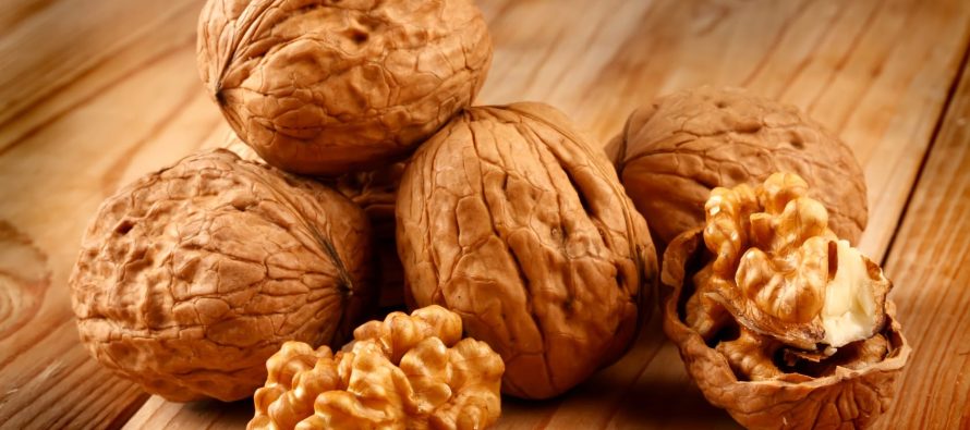 Arrat: Superushqimi që ndihmon zemrën, trurin dhe lëkurën