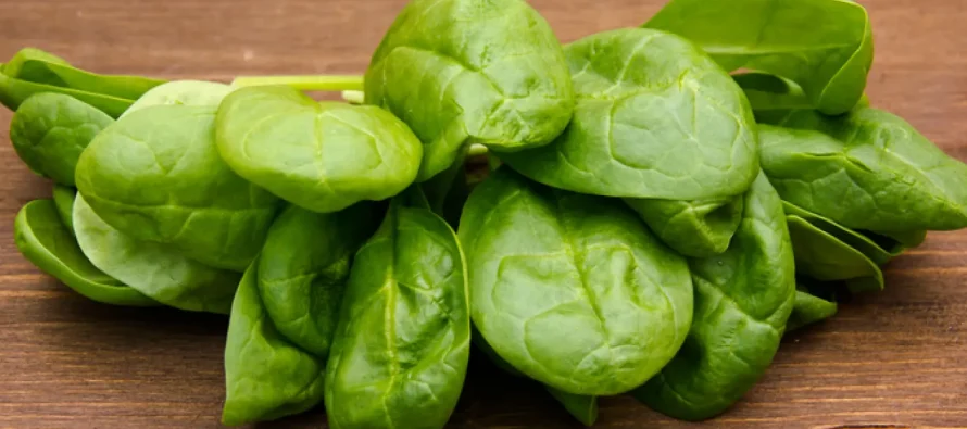 14 ushqime vegjetariane të pasura me hekur