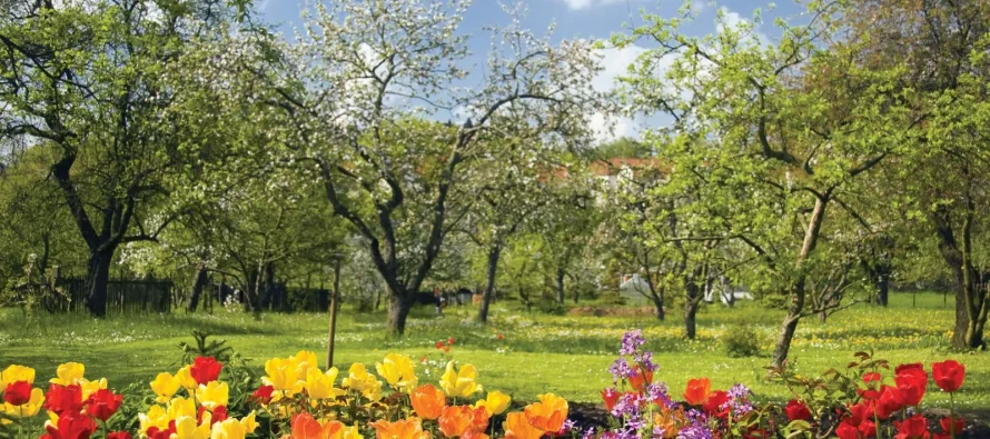 5 këshilla për të përballuar “sëmundjen e pranverës” dhe për të rigjallëruar trupin