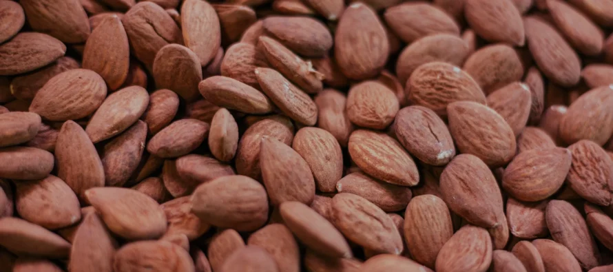 5 superushqime vegane që forcojnë muskujt dhe imunitetin