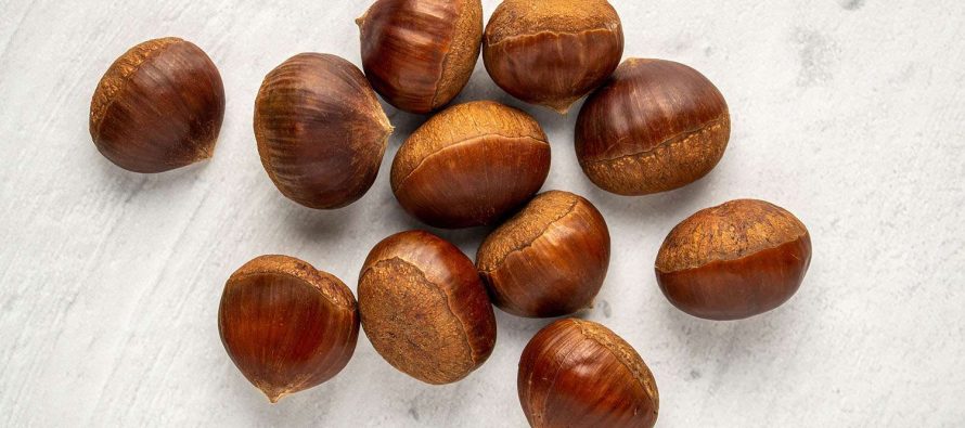 Gështenja e pjekur, traditë dhe shije që ngroh dimrin