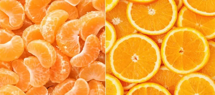 “Portokalli dhe mandarina: Dy frutat që forcojnë imunitetin në stinën e virozave”
