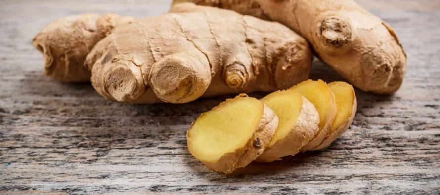 Xhenxhefili ndihmon në përmirësimin e dispepsisë kronike, studim i ri