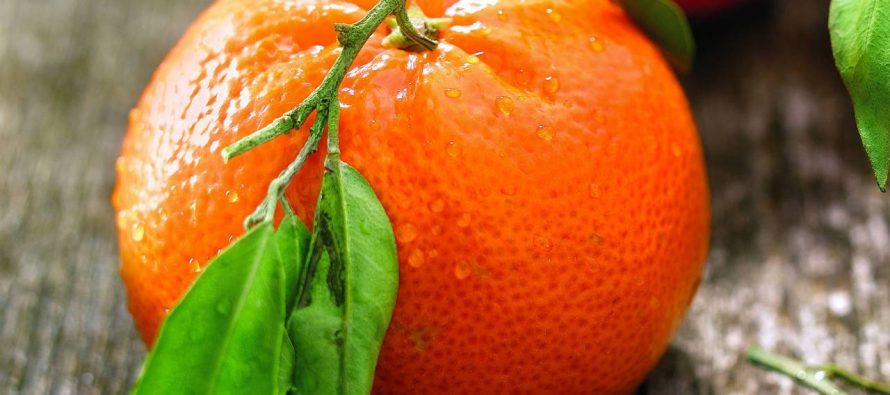 Mandarina, fruti që forcon imunitetin dhe ndihmon trupin