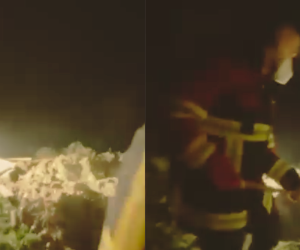 Prokuroria e Gostivarit hap hetim për vrasje të rëndë: Dy të dyshuar për vrasjen e Hava Azizit