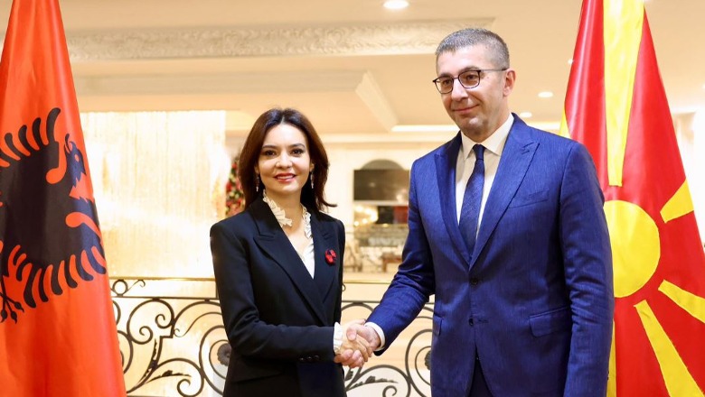 Spiropali takohet me Mickoskin: Faktori shqiptar në Maqedoni komunitet shtetformues, nxitës i rëndësishëm i proceseve eurointegruese