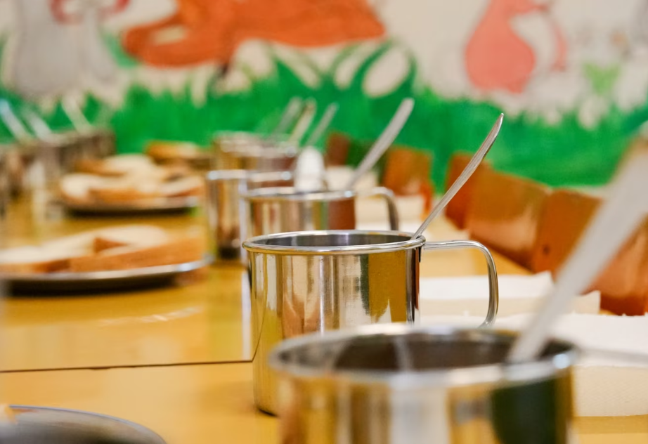 Baktere fekale në ushqim nëpër shkolla  mësimet sociale dhe ndërgjegjësimi