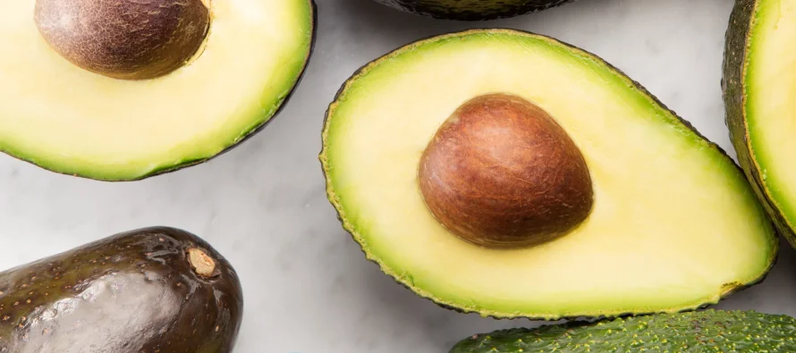 Avokadoja e përditshme mund të përmirësojë shëndetin e zemrës, sipas studimit