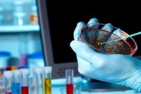 Skandal në Karposh: Mostrat nga një shkollë tregojnë praninë e baktereve fekale