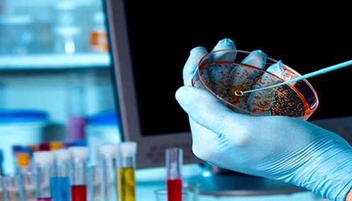 Skandal në Karposh  Mostrat nga një shkollë tregojnë praninë e baktereve fekale