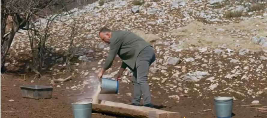 Nga 30 në mbi 200 drerë: Suksesi i qendrës riprodhuese në Parkun Kombëtar Galiçica