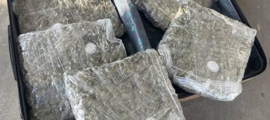 Arrestohet shoferi, në automjet i gjenden mbi pesë kilogramë marihuanë