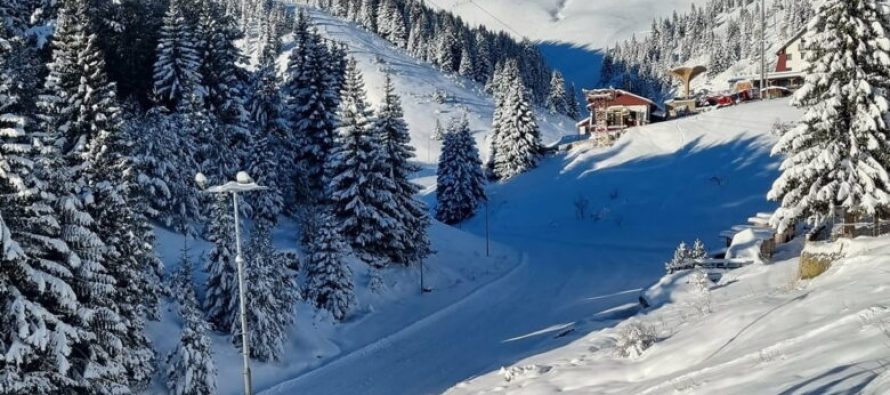 ATV hyn ilegalisht në pistat e “Kodrës së Diellit”, paralajmërohen masa ligjore