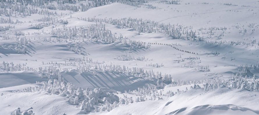 Qytetet më me dëborë në botë ndodhen në Japoni, ja pse