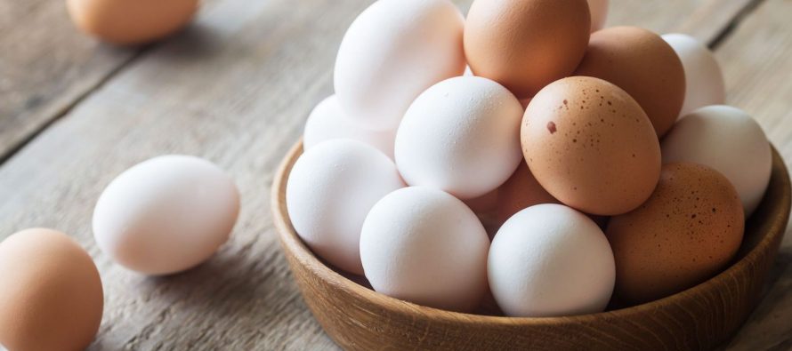 Vezët: Ushqimi që forcon dhëmbët dhe ofron ndjesinë e ngopjes