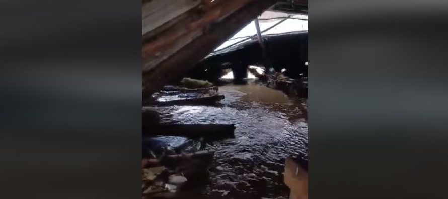 Strumica nën ujë: Mbi 200 krerë bagëti humbasin nga përmbytjet