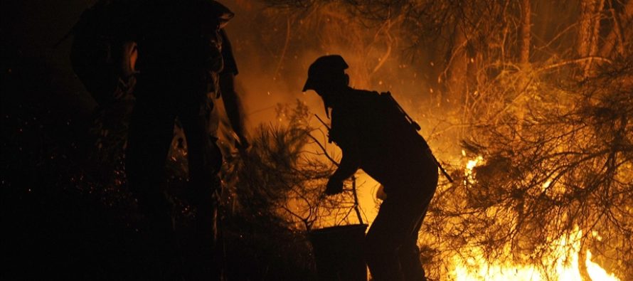 Zjarr i madh pyjor shkatërron mijëra hektarë në Patagoninë argjentinase
