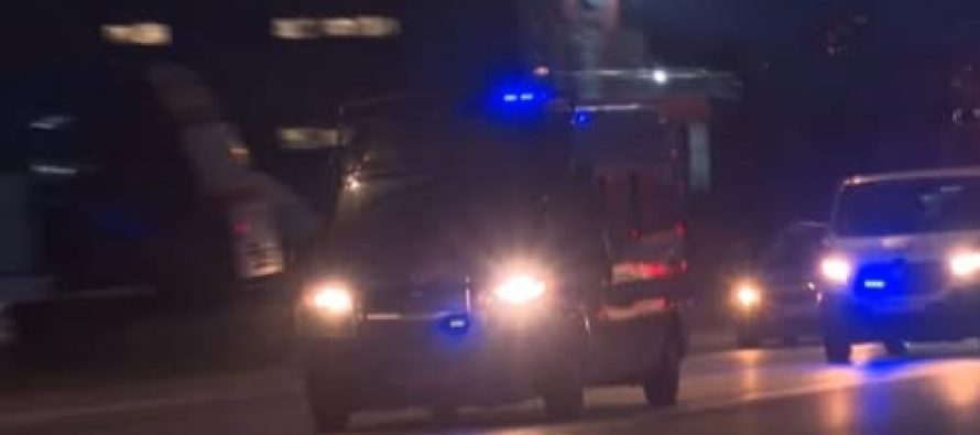 Epilogu: Janë konfiskuar 27 tonë mari’huanë në aksionin e djeshëm në Maqedoninë e Veriut | VIDEO