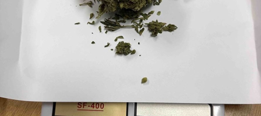 Bastisje në Gostivar, gjendet drogë – një person arrestohet