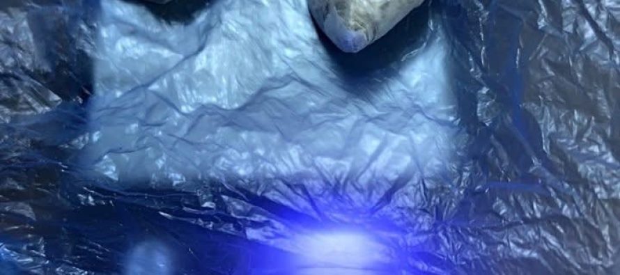 Policia godet narkotikët në Gostivar, arrestohet 69-vjeçar