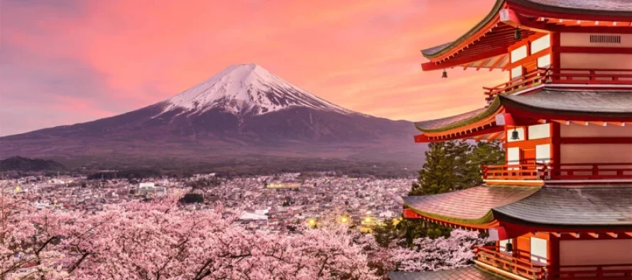 Japoni: Anulohet festivali i lulëzimit të qershisë pranë malit Fuji