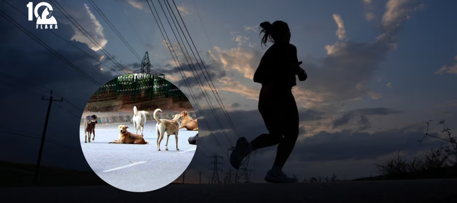 Grua nga Shkupi sulmohet nga një tufë qensh endacakë gjatë vrapimit në mëngjes