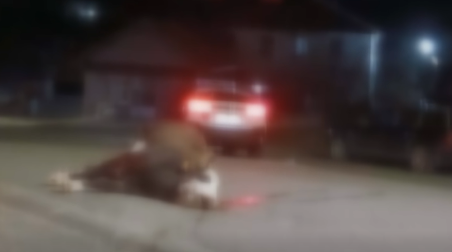 shoferi-nga-bullgaria-perplas-lopen-ne-kriva-pallanke-largohet-nga-vendi-i-ngjarjes