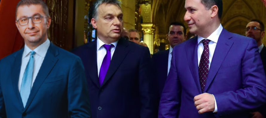 Orbán, Gruevski dhe Mickoski: Krahasim i pikave të përbashkëta të qeverisjes