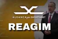 ASH: Shqipja hiqet nga institucionet, VLEN-i në heshtje