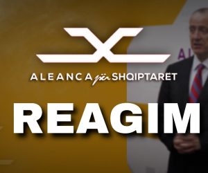 ASH: Shqipja hiqet nga institucionet, VLEN-i në heshtje