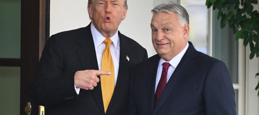 Çfarë fshihet pas mbështetjes së Trump për Orbánin në zgjedhje?