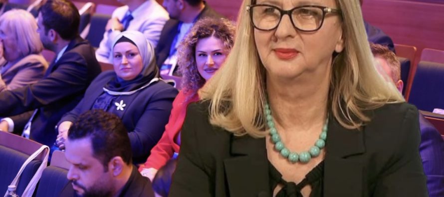 Arta Toçi ironizon deputeten e VLEN-it: Çka do thoshte po të shkruante më gjatë?
