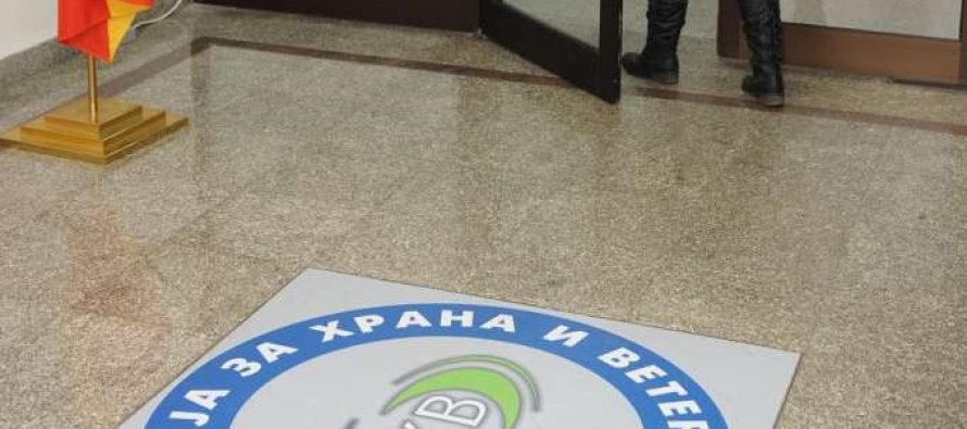 Inspektore e AUV-së arrestohet në Shkup, dyshohet se kërkoi ryshfet